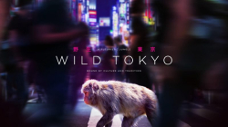 야생의 도쿄 WILD TOKYO